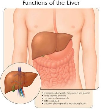 Alimente interzise in hepatita epidemica